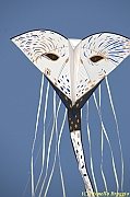 32 FESTIVAL CERVIA 2012 - 240